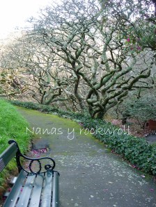 botanical gardens17 copia